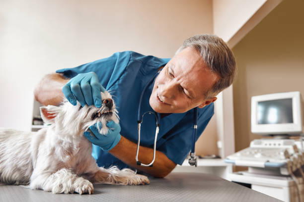 Best Emergency Tooth Extraction in Bort, GA